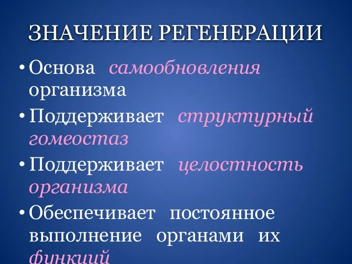 ЗНАЧЕНИЕ РЕГЕНЕРАЦИИ Основа самообновления организма Поддерживает структурный гомеостаз Поддерживает целостность организма Обеспечивает