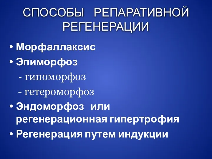 СПОСОБЫ РЕПАРАТИВНОЙ РЕГЕНЕРАЦИИ Морфаллаксис Эпиморфоз - гипоморфоз - гетероморфоз Эндоморфоз или регенерационная гипертрофия Регенерация путем индукции