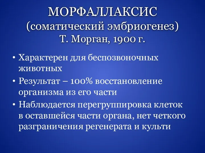 МОРФАЛЛАКСИС (соматический эмбриогенез) Т. Морган, 1900 г. Характерен для беспозвоночных животных Результат