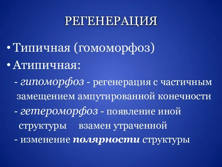 РЕГЕНЕРАЦИЯ Типичная (гомоморфоз) Атипичная: - гипоморфоз - регенерация с частичным замещением ампутированной