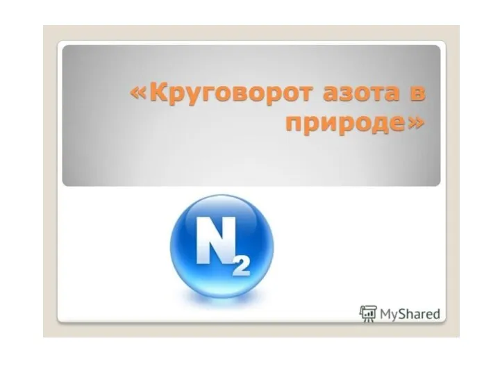 Круговорот азота в природе