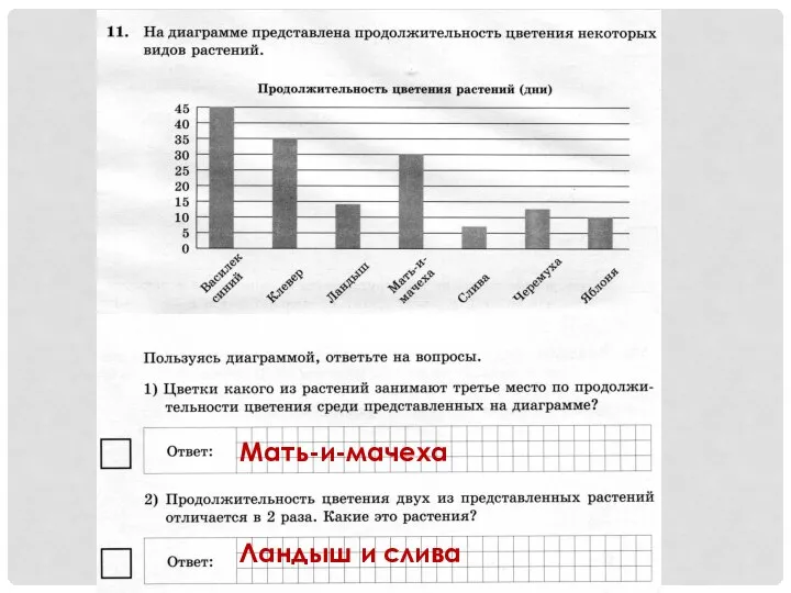 Мать-и-мачеха Ландыш и слива