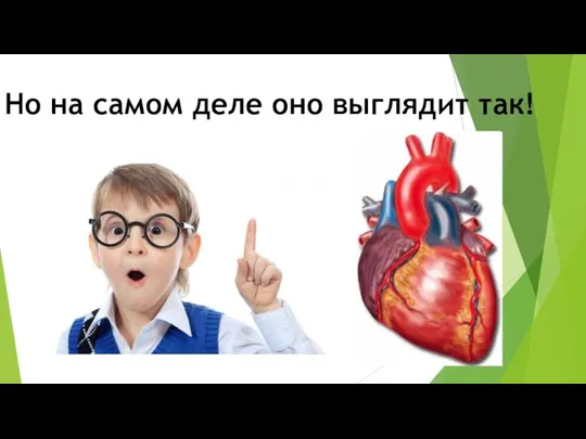 Но на самом деле оно выглядит так!