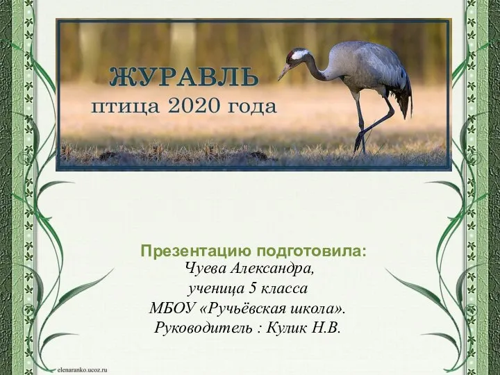 Журавль - птица 2020 года