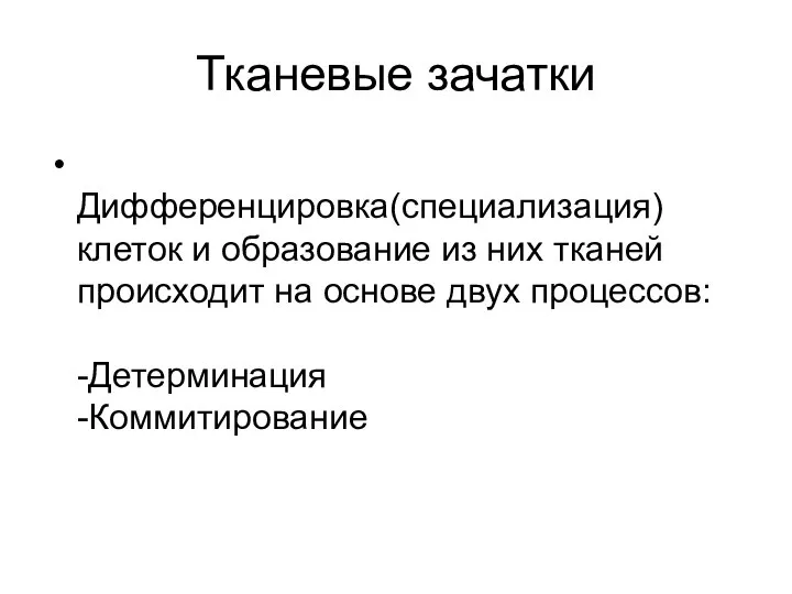 Тканевые зачатки Дифференцировка(специализация) клеток и образование из них тканей происходит на основе двух процессов: -Детерминация -Коммитирование