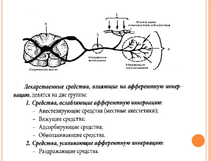 ре)