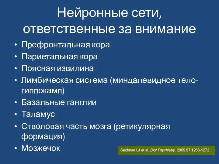 Нейронные сети, ответственные за внимание Префронтальная кора Париетальная кора Поясная извилина Лимбическая