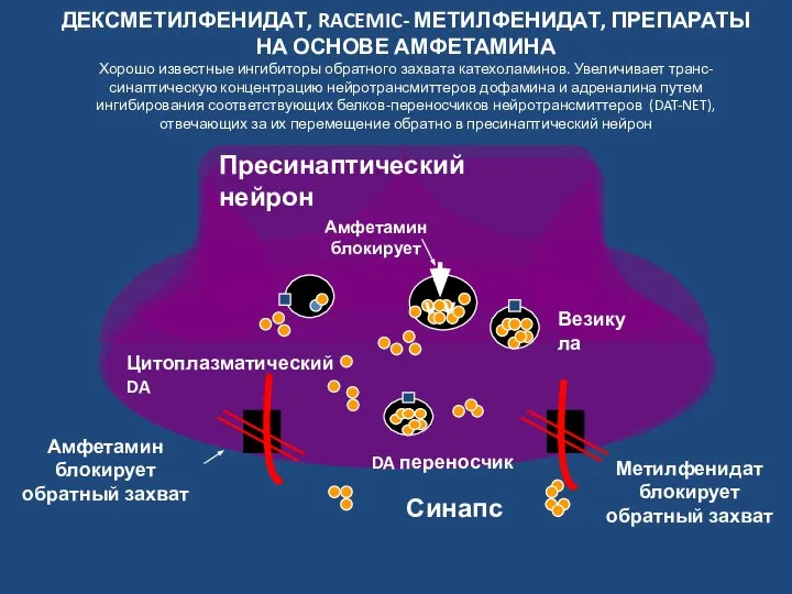 ДЕКСМЕТИЛФЕНИДАТ, RACEMIC- МЕТИЛФЕНИДАТ, ПРЕПАРАТЫ НА ОСНОВЕ АМФЕТАМИНА Хорошо известные ингибиторы обратного захвата