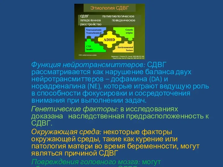 Функция нейротрансмиттеров: СДВГ рассматривается как нарушение баланса двух нейротрансмиттеров – дофамина (DA)