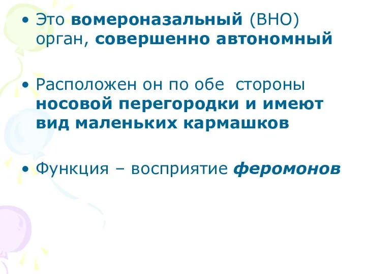 Это вомероназальный (ВНО) орган, совершенно автономный Расположен он по обе стороны носовой