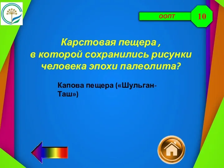 ООПТ Карстовая пещера , в которой сохранились рисунки человека эпохи палеолита? 10 Капова пещера («Шульган-Таш»)