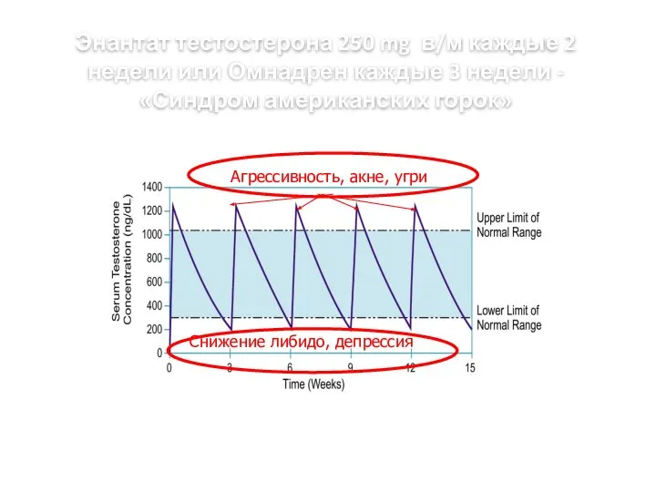 Энантат тестостерона 250 mg в/м каждые 2 недели или Омнадрен каждые 3