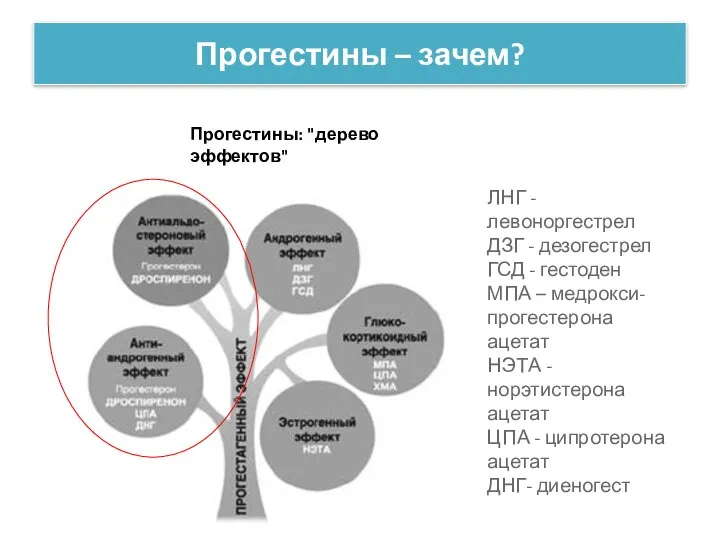 Прогестины – зачем? Прогестины: "дерево эффектов"