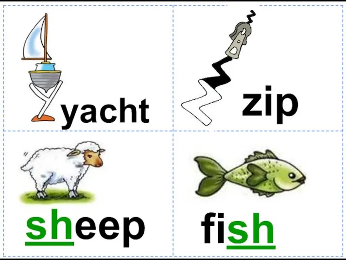 yacht zip sheep fish