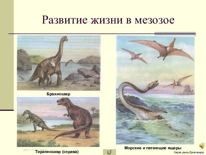 МОУ Развитие жизни в мезозое Брахиозавр Тираннозавр (справа) Морские и летающие ящеры Звуки рыка Динозавра