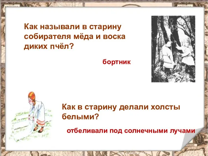 Как называли в старину собирателя мёда и воска диких пчёл? бортник Как