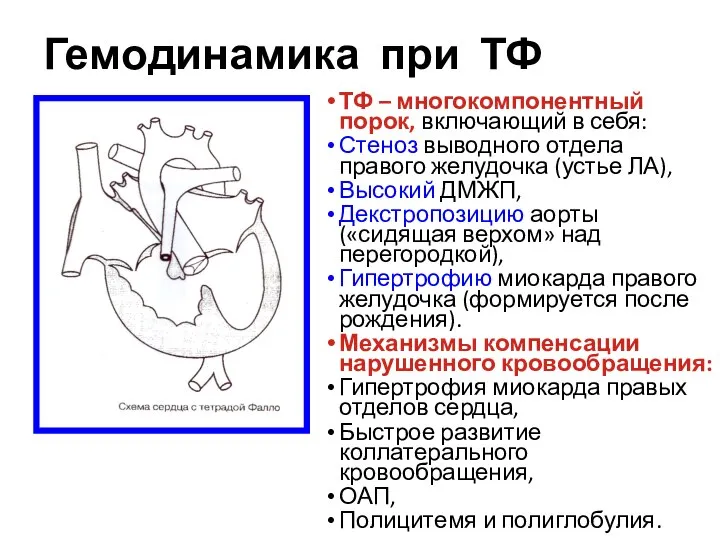 Гемодинамика при ТФ ТФ – многокомпонентный порок, включающий в себя: Стеноз выводного