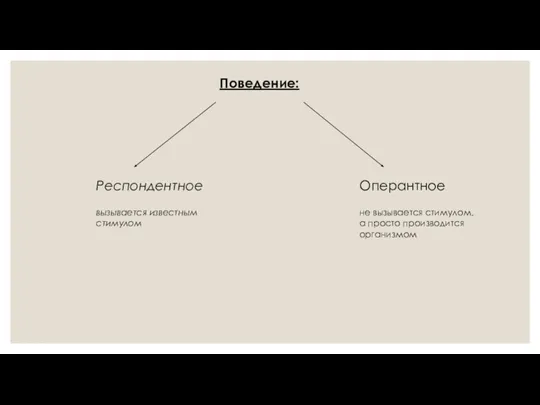 Поведение: Респондентное вызывается известным стимулом Оперантное не вызывается стимулом, а просто производится организмом