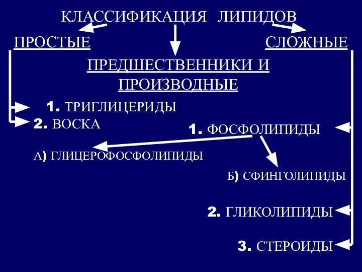 КЛАССИФИКАЦИЯ ЛИПИДОВ ПРОСТЫЕ СЛОЖНЫЕ 1. ТРИГЛИЦЕРИДЫ 2. ВОСКА 1. ФОСФОЛИПИДЫ 2. ГЛИКОЛИПИДЫ