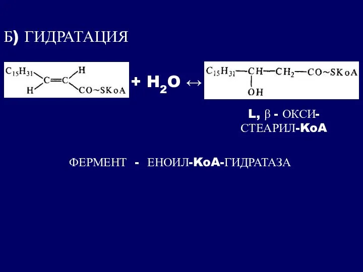 Б) ГИДРАТАЦИЯ + H2O ↔ L, β - ОКСИ- СТЕАРИЛ-KoA ФЕРМЕНТ - ЕНОИЛ-KoA-ГИДРАТАЗА