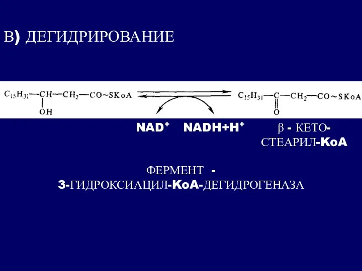 В) ДЕГИДРИРОВАНИЕ β - КЕТО- СТЕАРИЛ-KoA NAD+ NADH+H+ ФЕРМЕНТ - 3-ГИДРОКСИАЦИЛ-KoA-ДЕГИДРОГЕНАЗА