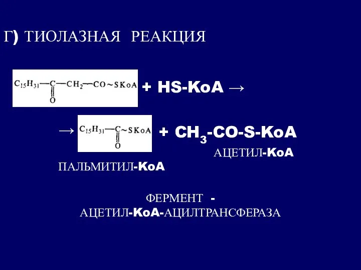 Г) ТИОЛАЗНАЯ РЕАКЦИЯ + HS-KoA → → + CH3-CO-S-KoA ПАЛЬМИТИЛ-KoA АЦЕТИЛ-KoA ФЕРМЕНТ - АЦЕТИЛ-KoA-АЦИЛТРАНСФЕРАЗА