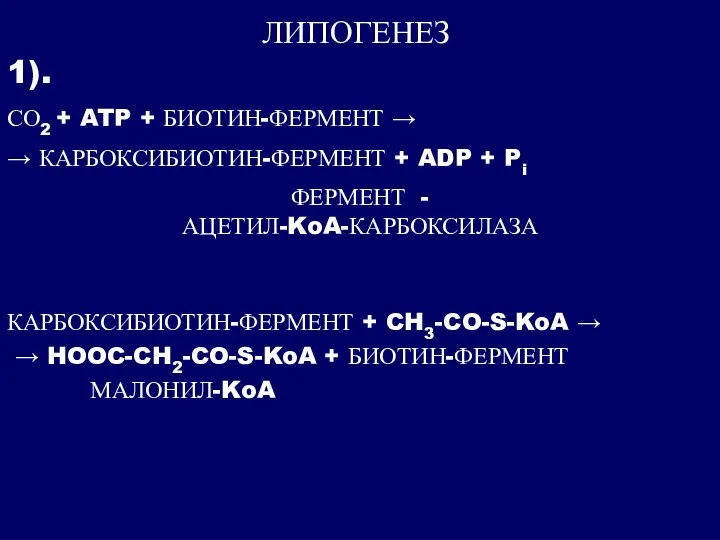 ЛИПОГЕНЕЗ 1). СО2 + ATP + БИОТИН-ФЕРМЕНТ → → КАРБОКСИБИОТИН-ФЕРМЕНТ + ADP