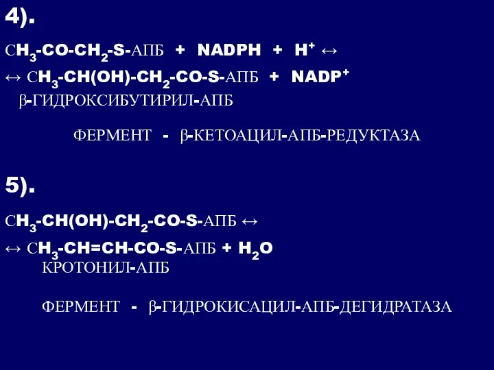 4). СH3-CO-CH2-S-АПБ + NADPH + H+ ↔ ↔ СH3-CH(OH)-CH2-CO-S-АПБ + NADP+ β-ГИДРОКСИБУТИРИЛ-АПБ