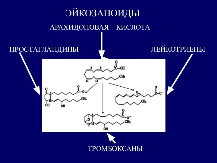 ЭЙКОЗАНОИДЫ АРАХИДОНОВАЯ КИСЛОТА ТРОМБОКСАНЫ ПРОСТАГЛАНДИНЫ ЛЕЙКОТРИЕНЫ