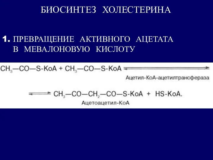 БИОСИНТЕЗ ХОЛЕСТЕРИНА 1. ПРЕВРАЩЕНИЕ АКТИВНОГО АЦЕТАТА В МЕВАЛОНОВУЮ КИСЛОТУ