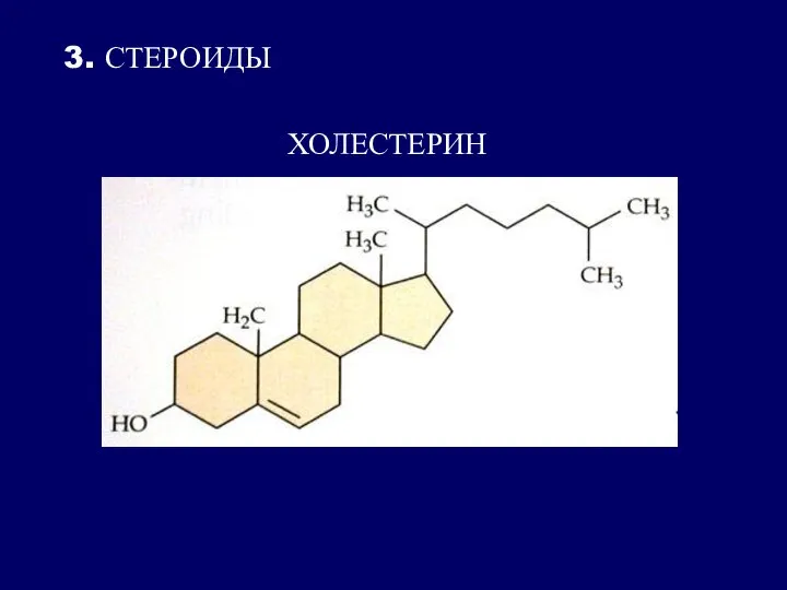 3. СТЕРОИДЫ ХОЛЕСТЕРИН