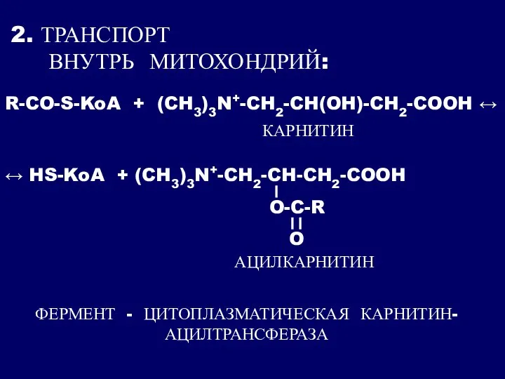 2. ТРАНСПОРТ ВНУТРЬ МИТОХОНДРИЙ: R-CO-S-KoA + (CH3)3N+-CH2-CH(OH)-CH2-COOH ↔ КАРНИТИН ↔ HS-KoA +