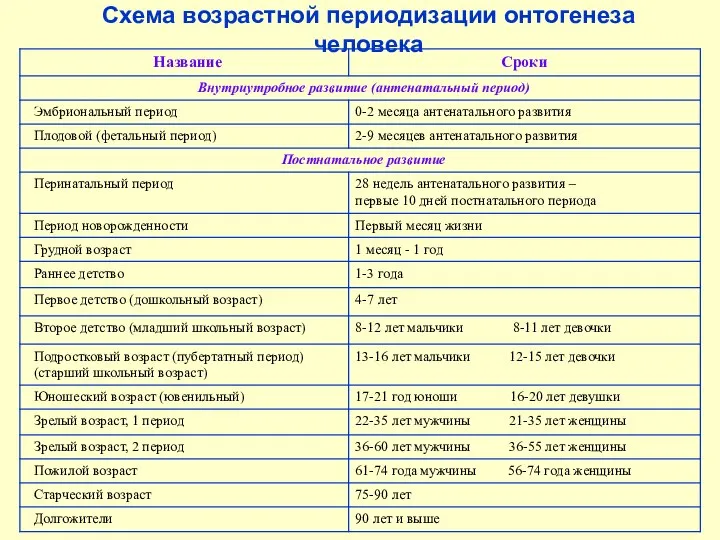 Схема возрастной периодизации онтогенеза человека