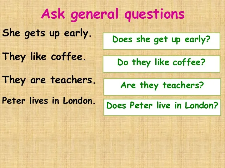Ask general questions She gets up early. They like coffee. They are