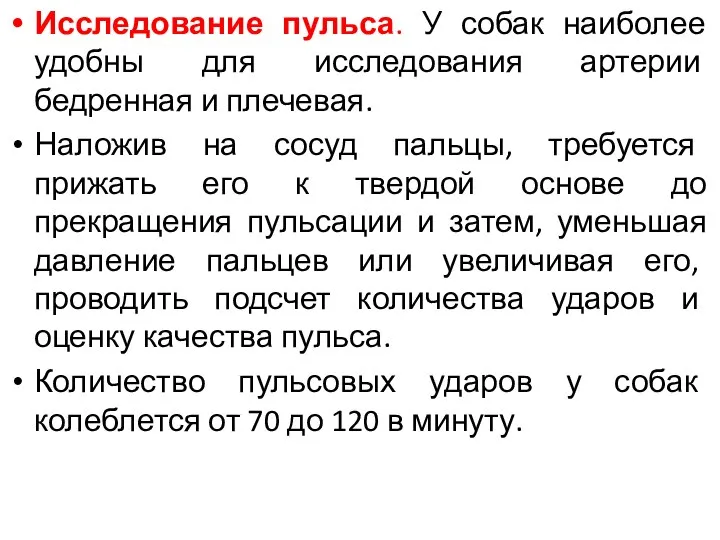 Исследование пульса. У собак наиболее удобны для исследования артерии бедренная и плечевая.