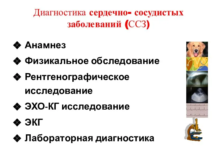 Диагностика сердечно- сосудистых заболеваний (ССЗ) Анамнез Физикальное обследование Рентгенографическое исследование ЭХО-КГ исследование ЭКГ Лабораторная диагностика