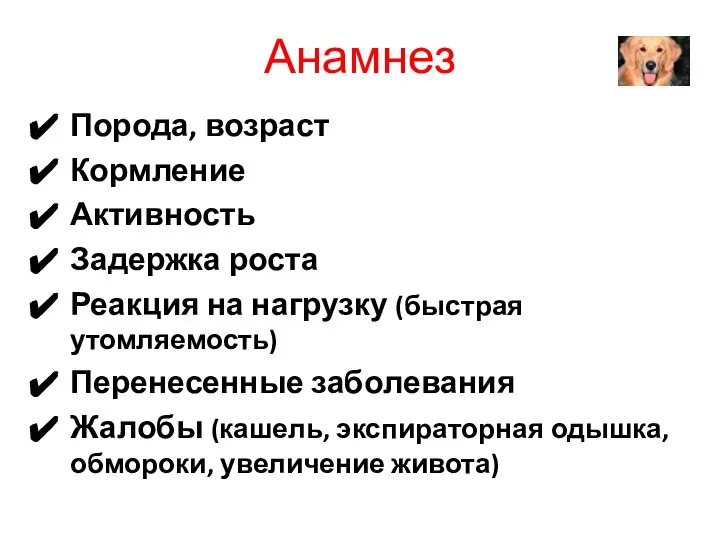 Анамнез Порода, возраст Кормление Активность Задержка роста Реакция на нагрузку (быстрая утомляемость)