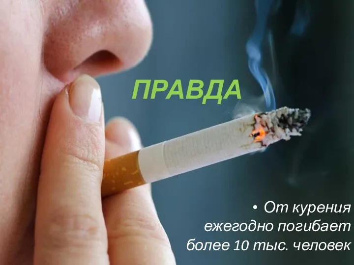 От курения ежегодно погибает более 10 тыс. человек ПРАВДА