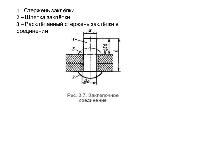 1 - Стержень заклёпки 2 – Шляпка заклёпки 3 – Расклёпанный стержень заклёпки в соединении