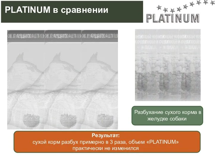 Результат: сухой корм разбух примерно в 3 раза, объем «PLATINUM» практически не