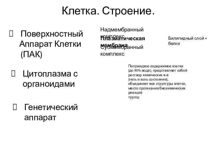 Клетка. Строение. Поверхностный Аппарат Клетки (ПАК) Плазматическая мембрана Надмембранный комплекс Субмембранный комплекс