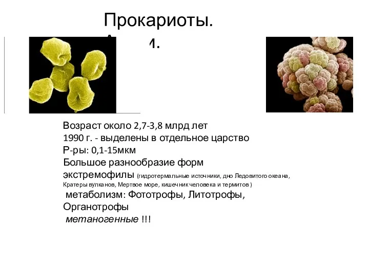 Прокариоты. Археи. Возраст около 2,7-3,8 млрд лет 1990 г. - выделены в