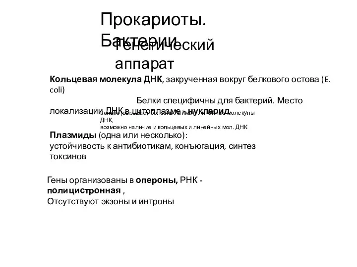 Прокариоты. Бактерии. Генетический аппарат Кольцевая молекула ДНК, закрученная вокруг белкового остова (E.