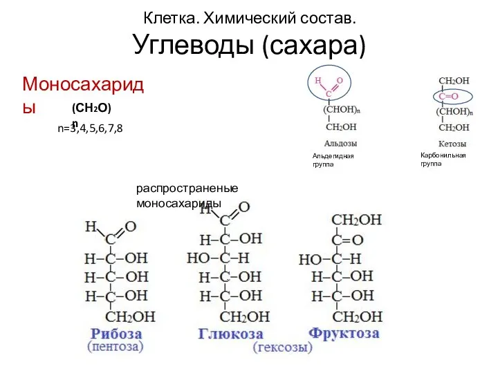 Клетка. Химический состав. Углеводы (сахара) Моносахариды (СН2О)n n=3,4,5,6,7,8 Карбонильная группа Альдегидная группа распространеные моносахариды
