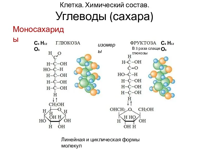 Клетка. Химический состав. Углеводы (сахара) Линейная и циклическая формы молекул С6 Н12
