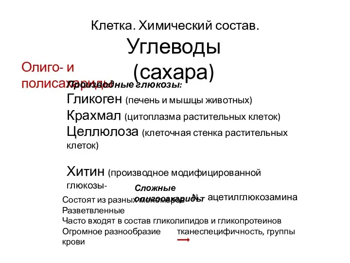 Клетка. Химический состав. Углеводы (сахара) Олиго- и полисахариды Производные глюкозы: Гликоген (печень