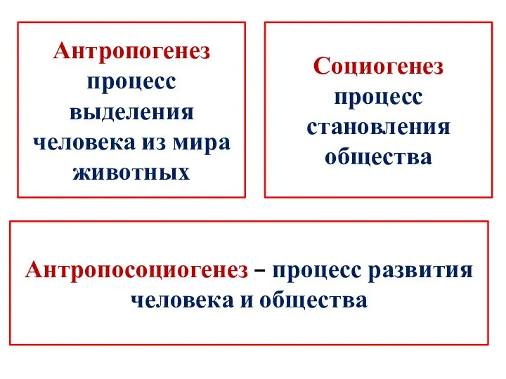 Антропогенез процесс выделения человека из мира животных Социогенез процесс становления общества Антропосоциогенез