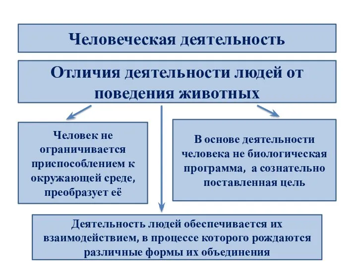 Человеческая деятельность Отличия деятельности людей от поведения животных Человек не ограничивается приспособлением