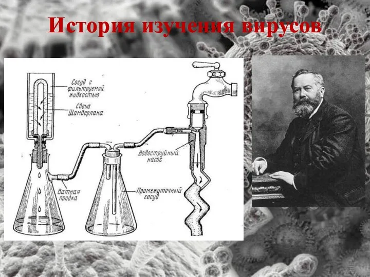 История изучения вирусов В 1884 году французский микробиолог Шарль Шамберлан изобрёл фильтр