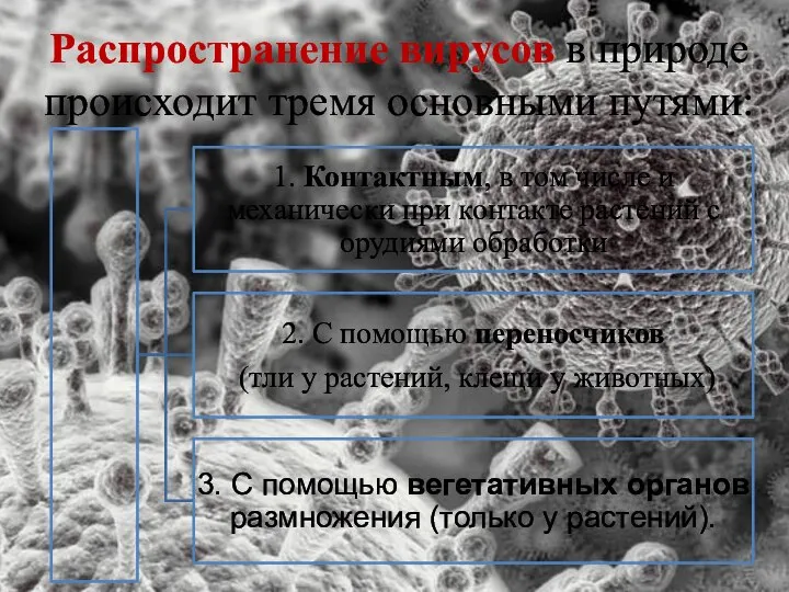 Распространение вирусов в природе происходит тремя основными путями: